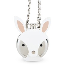 Flask, Bunny Image