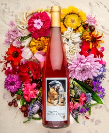 2022 Twin Peaks Vin Gris of Pinot Noir