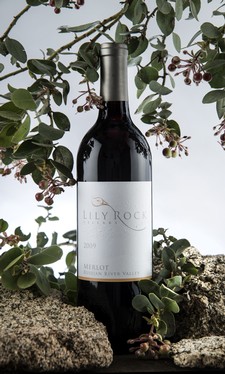 2009 Merlot Image